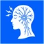 Chronic Migraine (Nerve-Related)