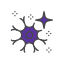 Back Pain Neuropathic Back Pain