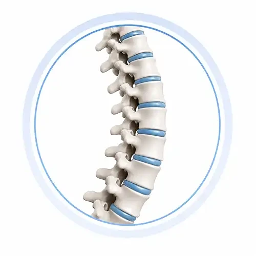 Back Pain Risk-Factors-for-Back-Pain